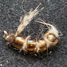 CADDIS LARVA GLASSY TAN SIZE 16 FLY FISHING FLIES NYMPH CUSTOM TIED