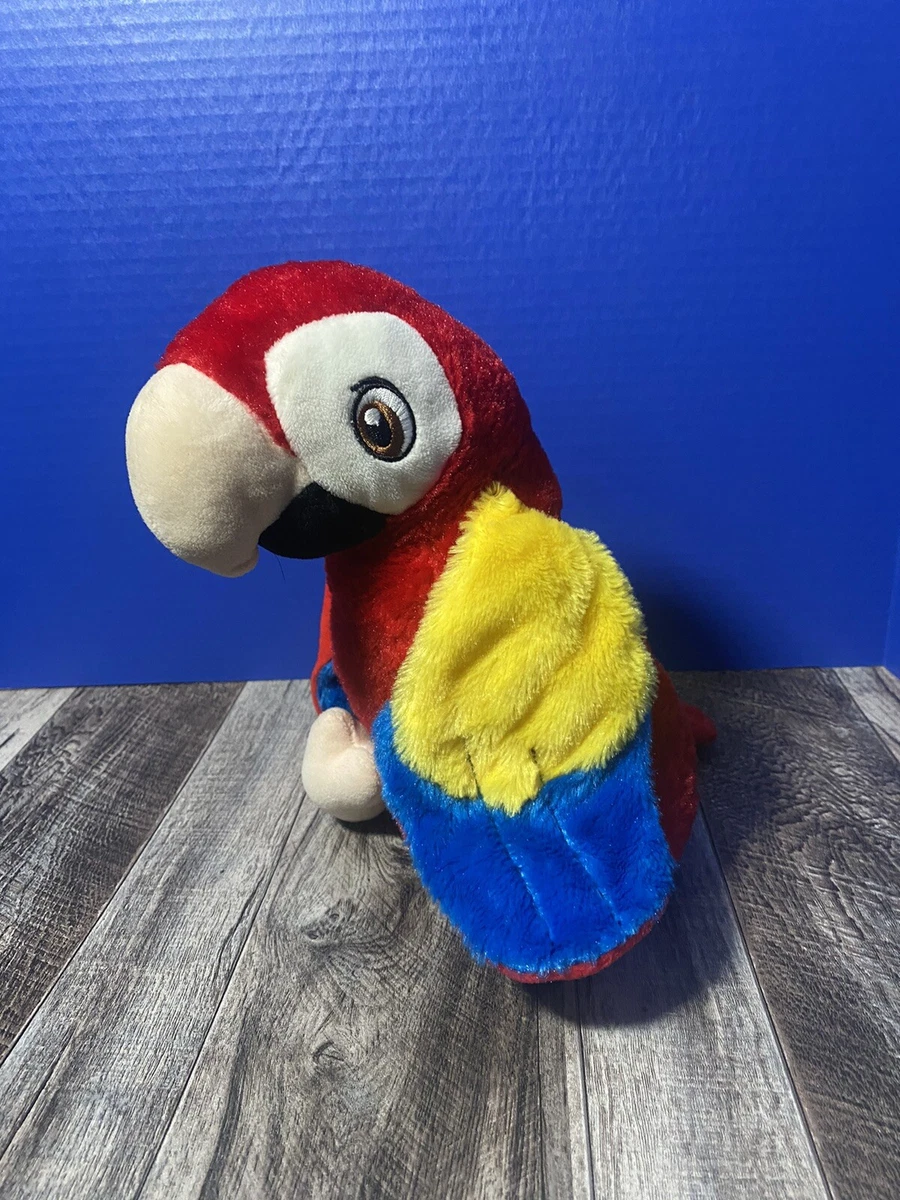 Teddy parrot top