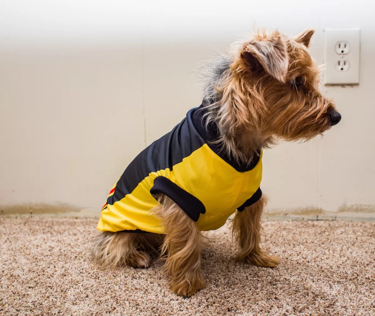 AGUILAS CLUB AMERICA Mexican SOCCER Team UNIFORM SHIRT FOR DOG or cat