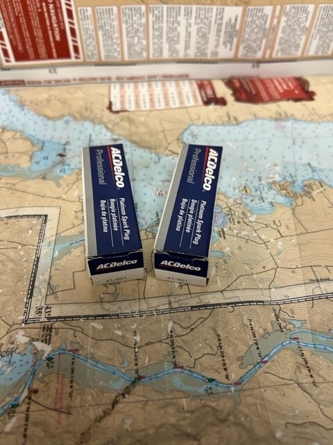 ACDelco pack of 2 #41-801 Platinum Sparks Plugs.