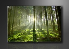 Quadro su tela Quadri moderni bosco verte 120 x 80 cm  modello : XXL 5130