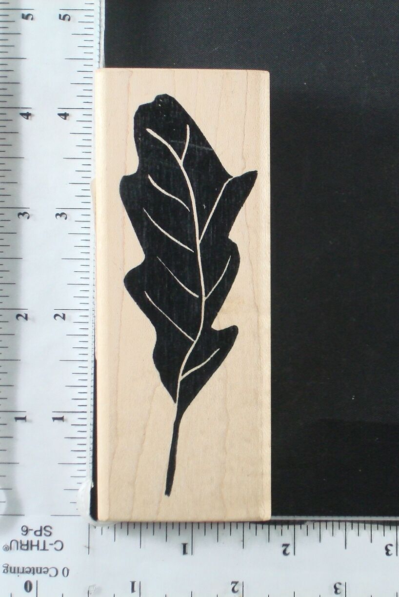 Picture 14 of 31