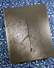 Bloodborne Collectors Edition Guide - Future ...