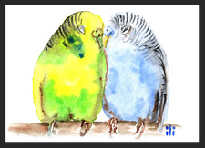 ACEO Watercolor Print Cute Budgie Parrots Couple in Love Art Painting by ili