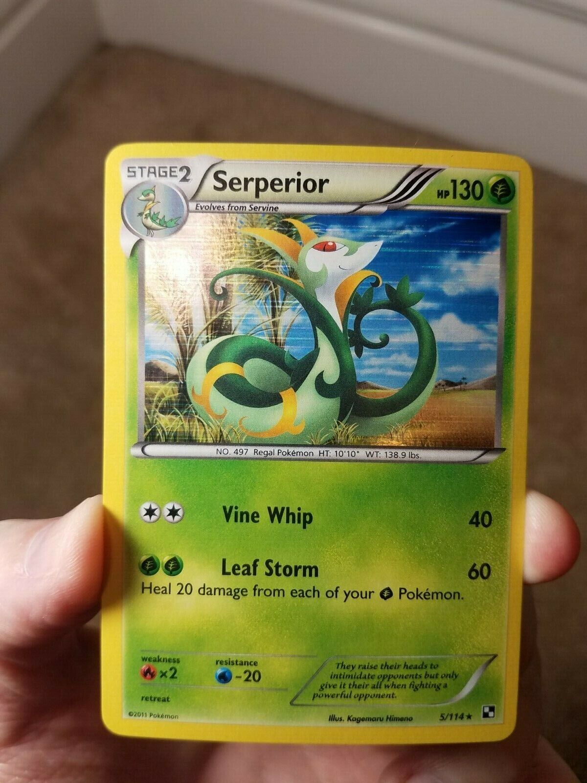 Serperior (5/114) (Cracked Ice Holo) (Theme Deck Exclusive) [Black & W –  High Tide Games