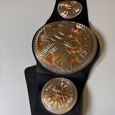 WWE Tag Team Champions Championship Belt Youth Kids Replica 2010 Mattel