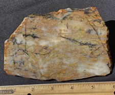 Autumn Leaf Moss Agate Rough Slab w/ Striking Leaf Colors Patterns 154 Grams