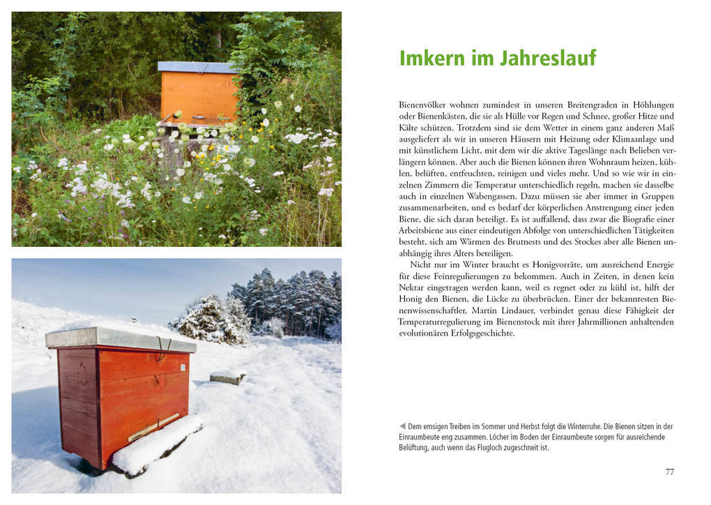 Thumbnail - Imkern Mit Der Einraumbeute | Johannes Wirz, Norbert Poeplau, Dr.