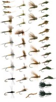 Western Trout Fly Fishing Flies Collection on sale Western Trout Fly Fishing Flies Collection on sale