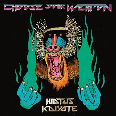 ２枚組レコードhiatus kaiyote\