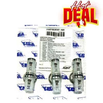 #ad #ad New OEM CAT 31647 Valve for 3DNX 3SP 3SPX Pressure Washer Pumps $109.90