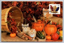 4007 Crops of America Corn Maxi Card