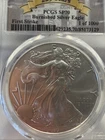 2017 W $1 Silver Eagle 1st Strike Burnished PCGS SP70 225 Anniv 1 of 1000 030134