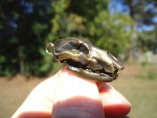 REPLICA TESCHIO ORSO DELLE CAVERNE BRONZO FUSO CIONDOLO GIOIELLI FOSSILI OSSA LUPO CARNIVORO
