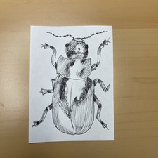 Original ACEO OOAK “Hatched Beetle” Ink Drawing Art Card by Sharkuchhie