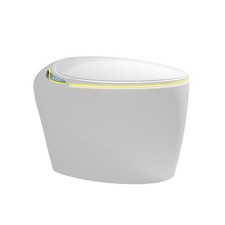 Modern -Piece with Heated Seat, LED Display, Night Light, Female Washing  Eco