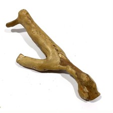Rare ornement 360 grammes spécimen de branche de corail blanc véritable pour ...