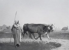 EGYPTIAN FARMER Pair of Bulls Treading Corn  - SUPERB 1881 Print by Gerome