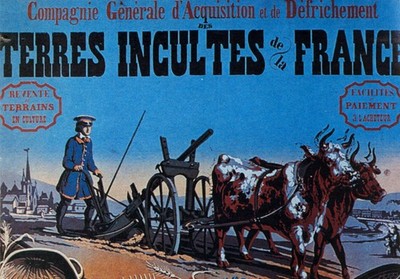 1847 Affiche De La Cie Gle D Acquisition Et De D Frichement Des Terres Incultes