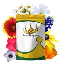 Wildflower Mix Annual 21 Varieties Non GMO Flower Aprox. 80,000 (65 Gram)
