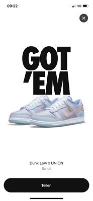 nike dunk low union43