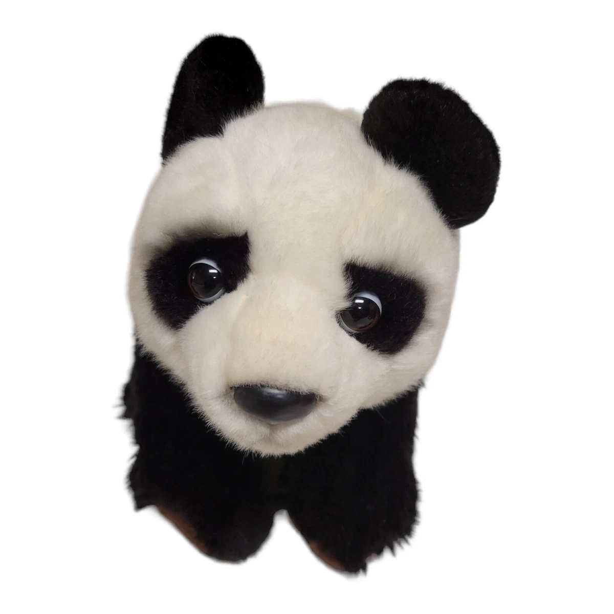 Webkinz signature panda new arrivals