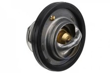 Thermostat Lexus RX
