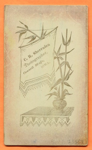CDV Council Bluffs, IA, Portrait of a Young Man, by Sherraden, c 1880s Backstamp - Picture 2 of 3