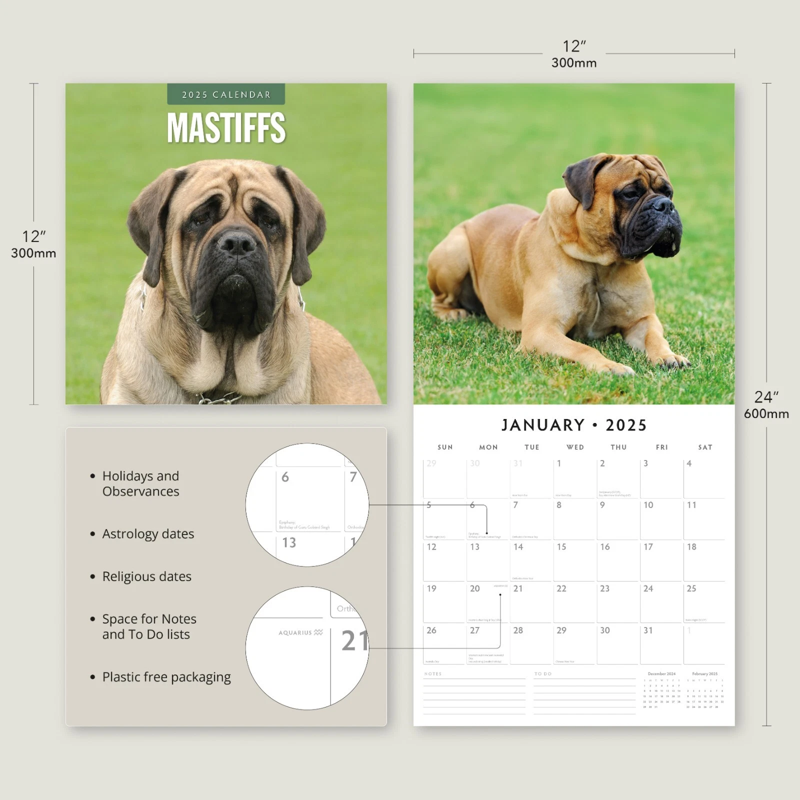 Mastiffs 2025 Square Wall Calendar