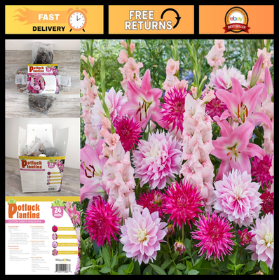 #ad All in One Flower Bulb Kit 24 Cotton Candy Mix Bulbs Dahlias Gladiolus Lil $77.99
