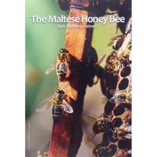 2024 Malta € 2 Euro BU Coin - Indigenous Species: The Maltese Honey Bee