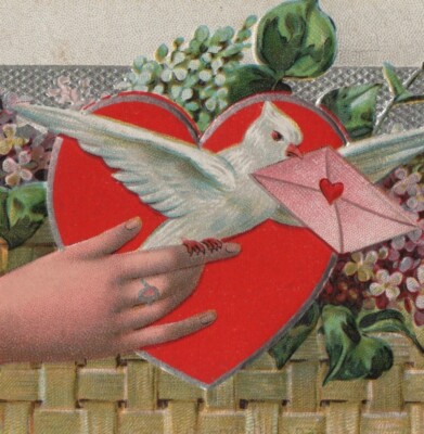 Artist E. Nash 1910 Postcard My Valentine White Dove Bird Love Letter Heart VTG.