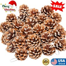 36x Christmas Natural Pine Cones,Rustic Pinecones String, Crafts Winter Xmas