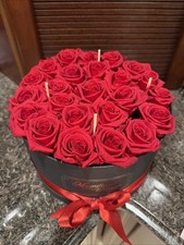 Magnificent Roses, Preserved Red Roses, 2 Dozen 24 Roses 8.5D  x5.5H   225 MSRP