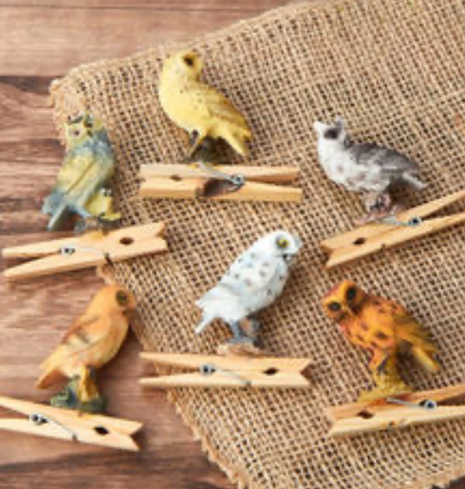 12 Pinzas para Ropa Búho Decoración Primavera Acción Clip Resina Artesanía Corona Tendedero Nuevo Foto 4 de 4
