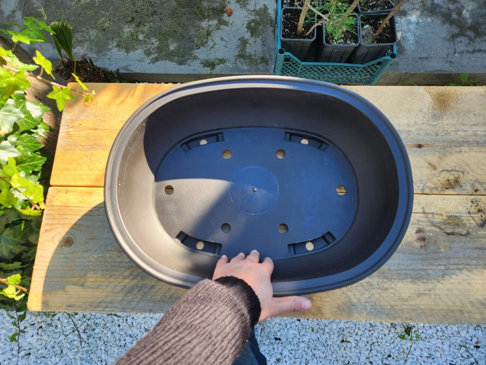 Vaso Bonsai Ovale in plastica dura 51x38x14cm. Spedizione espressa. - Immagine 2 di 4