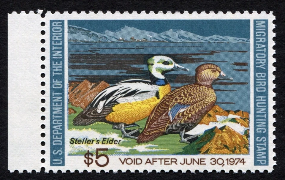 RW40 XF MNH 1973 Steller’s Eider US Federal Duck Stamp Migratory Waterfowl Mint - Image 2 of 3