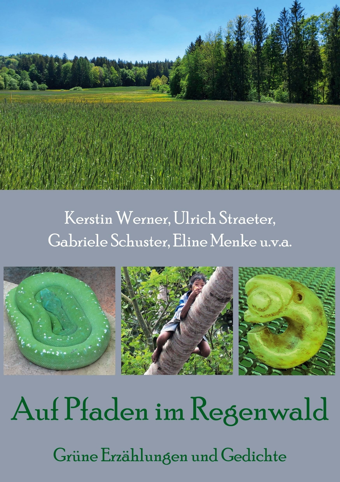 Thumbnail - Auf Pfaden Regenwald | Buch | 9783755797524