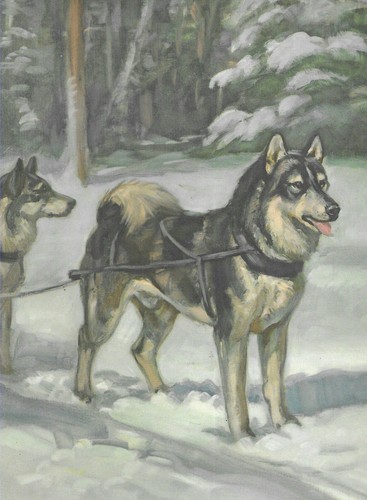 Siberian Husky - CUSTOM MATTED - 1953 Vintage Dog Art Print - Megargee