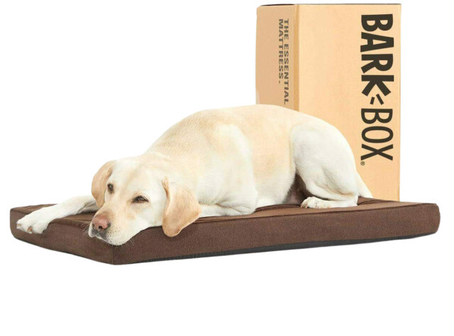 Barkbox Memory Foam Dog Bed, Size Large - Espresso for sale online | eBay