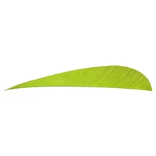 🏹 Trueflight Parabolic Feathers Chartreuse 5 in. LW 100 pk.