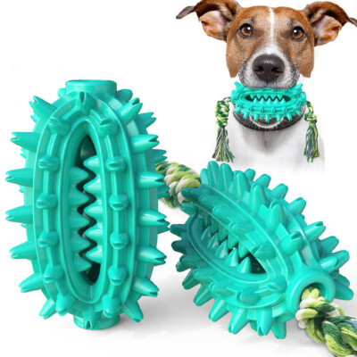 Dog Chew Toy Cleaning Teeth Pet Oral Care Dogs Rubber Cactus Shape Fun Toy  | eBay.de