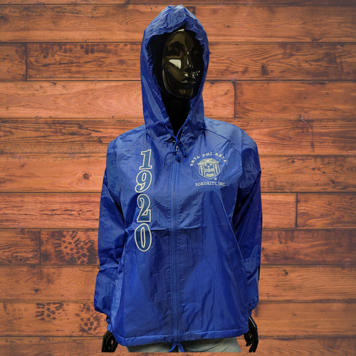 ZETA PHI BETA SORORITY BLUE HOODIE LINE 