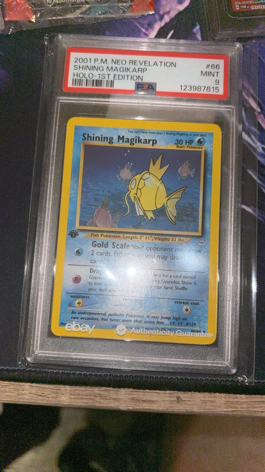 Shining Magikarp 66/64 Neo Revelation Holo Rare First Edition Pokémon PSA 9