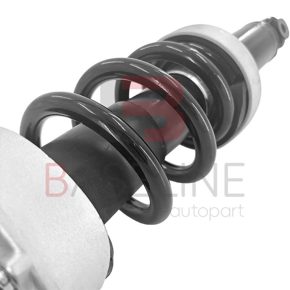 1x Front Shock Absorber Strut Magnetic Fit 2007-2015 Audi R8 V8 V10 420412019AJ