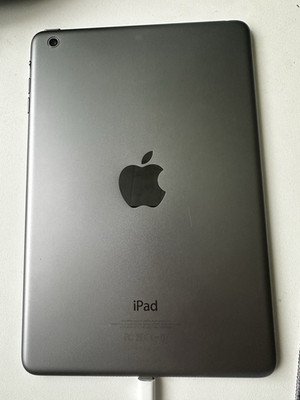 Apple iPad mini Serie A1432 Tablet PC 9,7 Zoll 12GB Wi Fi Silber