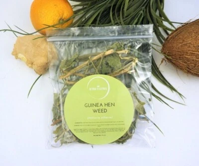 RETURN TO NATURAL Guinea Hen Weed Bush Tea Anamu Wild Grown No Chemicals Used AAA Grade 5G-1KG