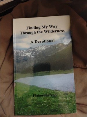 Finding my way through the wilderness, a devotional SIGNED By AUTHOR E. Sherrod