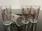 VTG. Anchor Hocking MCM Climbing Rose Drinking Glasses