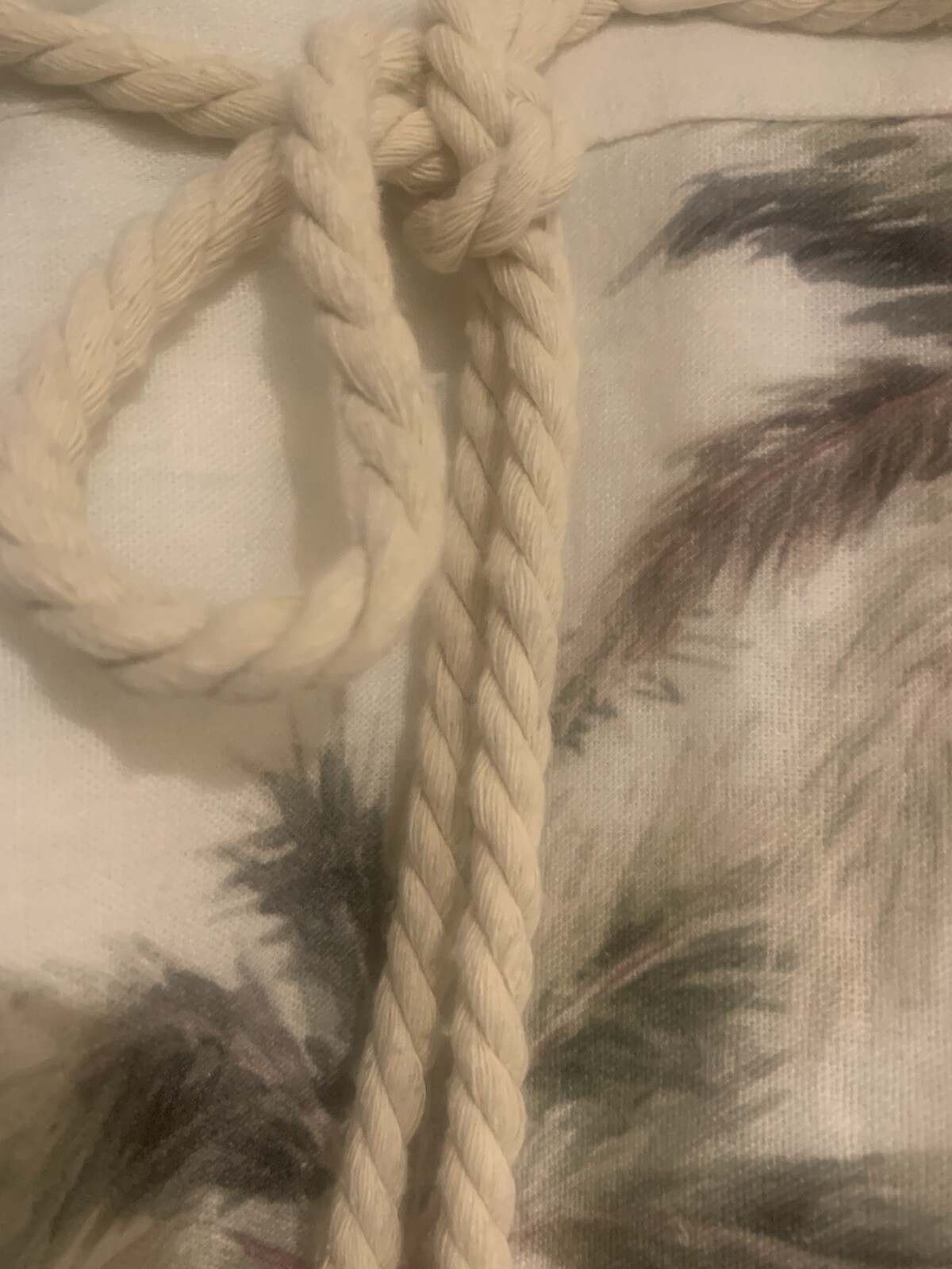 Picture 5 of 11